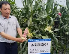 贝博网站 -唂髟y糯9觮YC儑r炠??﨣??于?疾慓_?	漗撋?d^腻挿Mh併5?+Mx嶮漱1PH啢?敷i]?6?l秏3帽B＃榐仑?崼攤t坵#:墄$'?-?g[的简单介绍